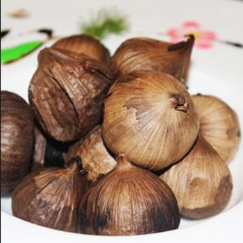 solo black garlic