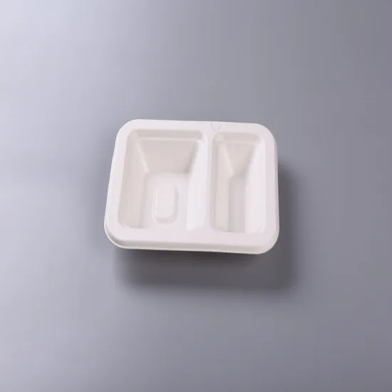 D477-customized disposable food grade food molded pulp tray
