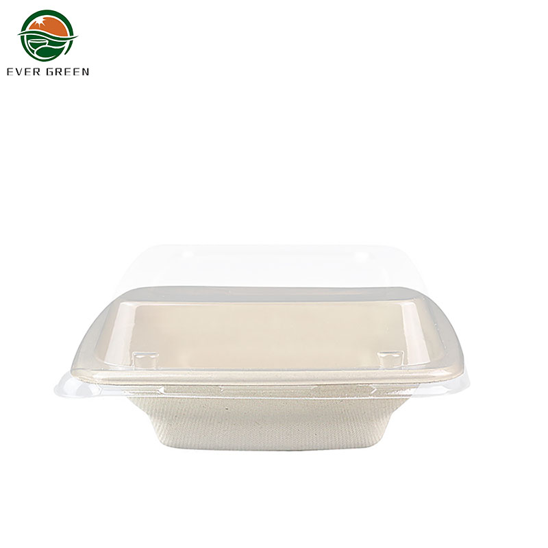 Bol de nouilles de canne à sucre biodégradable 24oz un bol de canne à sucre