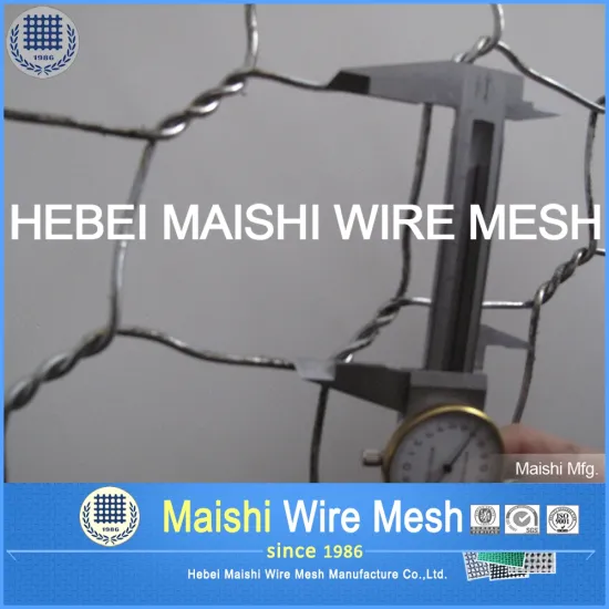 BWG 25 hexagonal wire netting