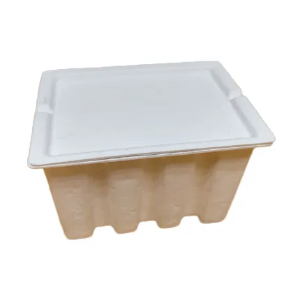 Sugarcane Biodegradable Disposable Serving Trays With Lids
