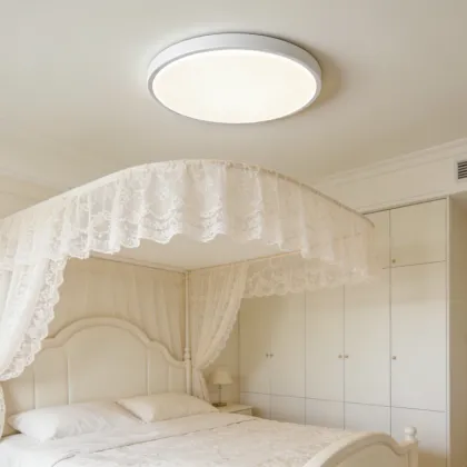 LED ceiling light for interior harmony