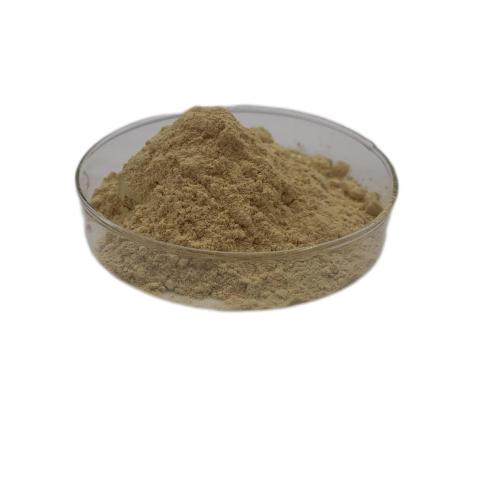 Citrus Extract Synephrine Citrus Aurantium seed Extract