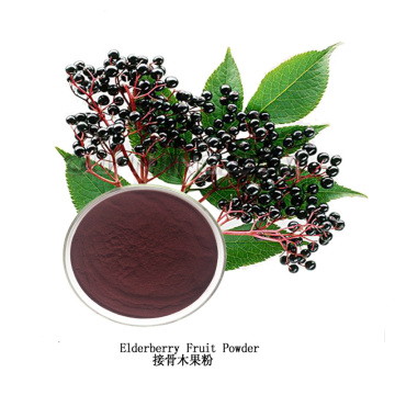 Natural Elderberry Juice Powder