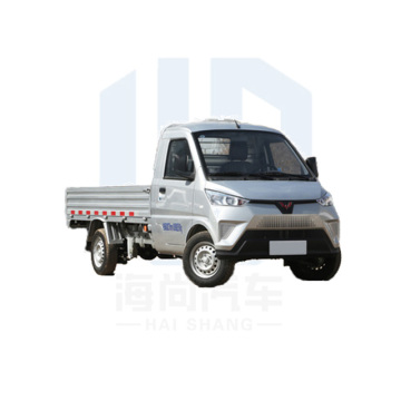 Fast Charging Wuling Electric Car: Chinese Electric Pickup Truck for Adults