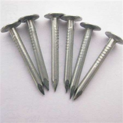 China Electro Galvanized Clout Nails Manufactory