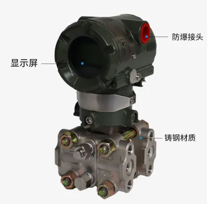 Intelligent Differential Pressure detector
