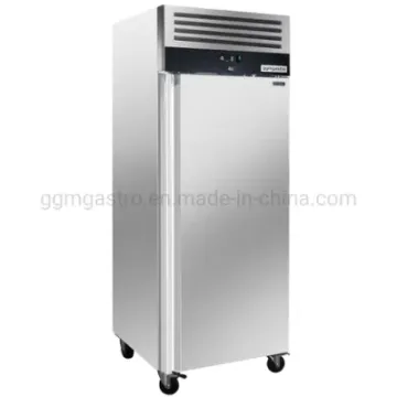 Industrial Commercial Hotel Fridge Single Door Vertical Upright Refrigerator Chiller Deep Freezer Eco