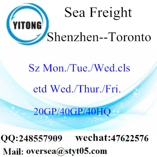 Shenzhen Port Sea Freight Shipping To Toronto