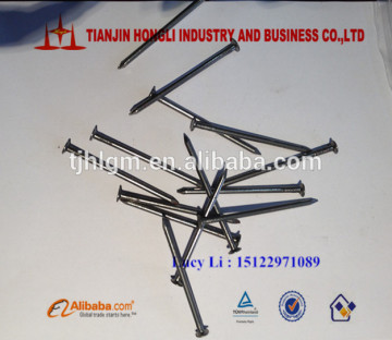factory manufacture Medium Carbon Steel iron nail /steel nail/common nail