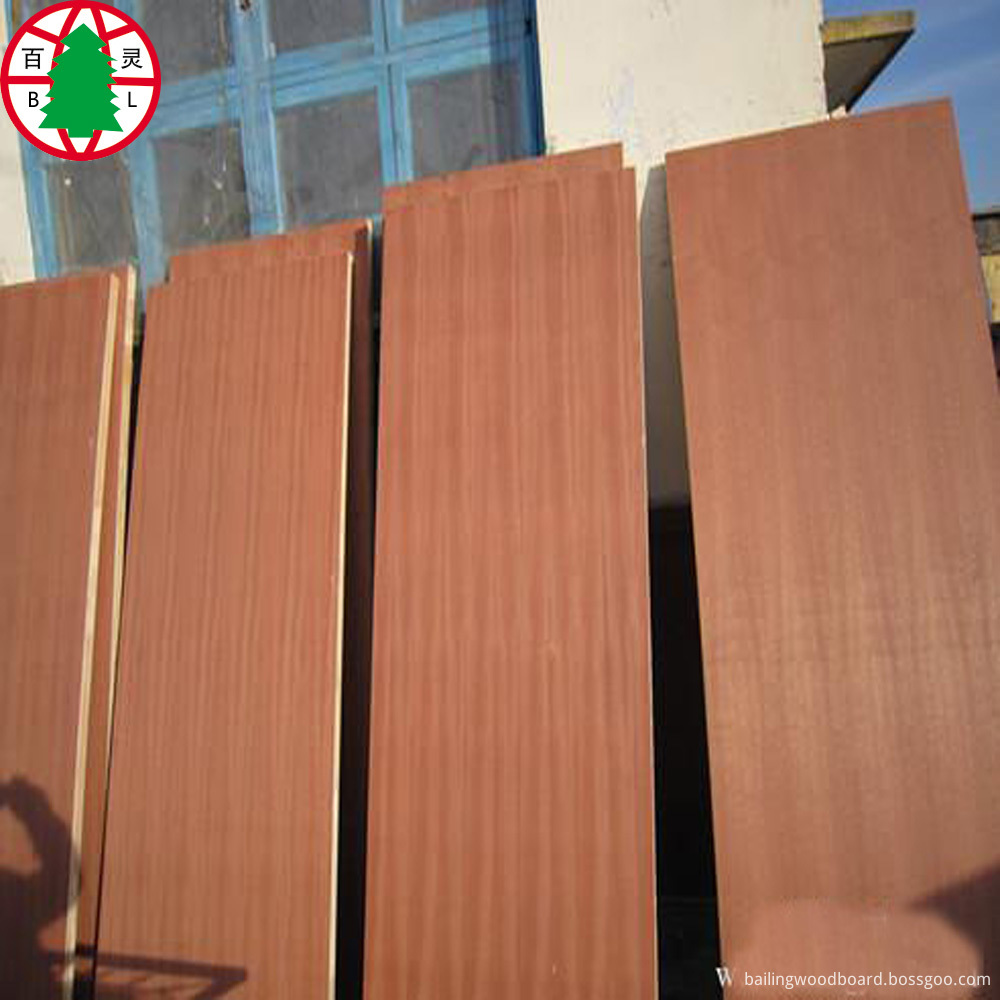 Saplei Mdf 5