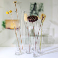 Tall Transparent Glass Bud Vases With Slanted Mouth