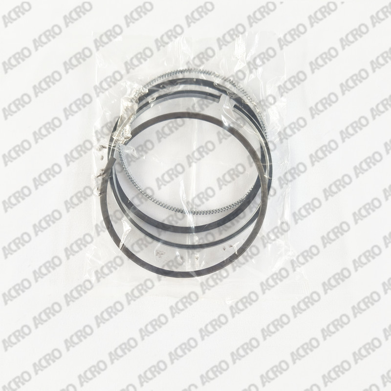 1G610-21050_piston ring_KUBOTA (3)_