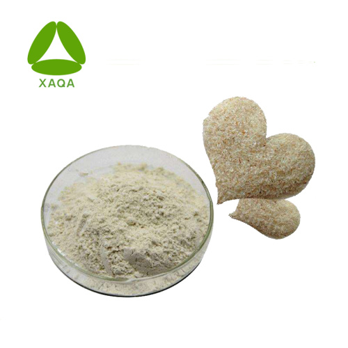 Dietary Fiber Psyllium Seed Husk Fiber Powder