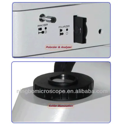 40X-400X Reflected and Transmitted Illumination DIC Microscope