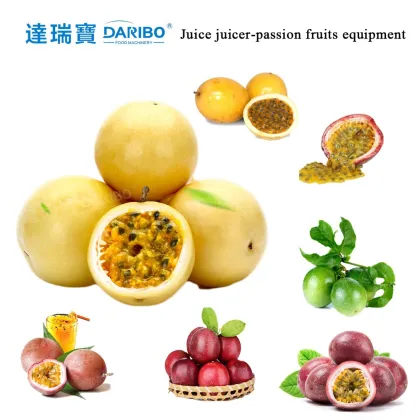 Passion Fruit Processing Machinery: Juice Maker and Peel Separator