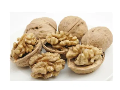 Thin skin quality walnut pregnant women preferred