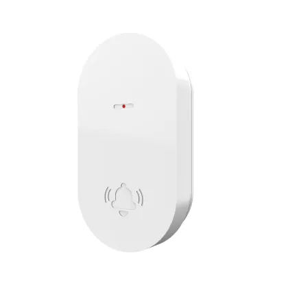 Mini Wireless Security Doorbell
