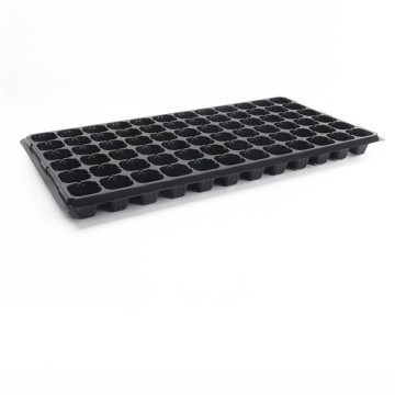 Seedling Tray Used for Agriculture Planting