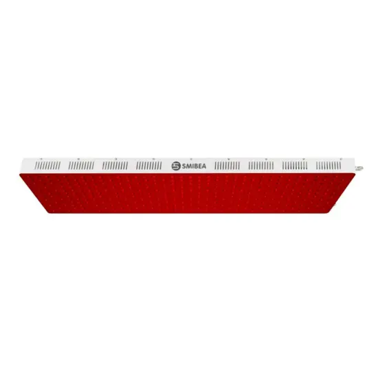 Skin Rejuvenation CE Red Led Light Bed Therapy