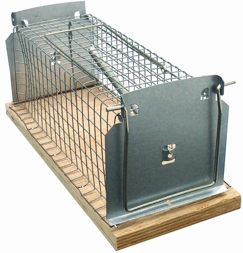 Wooden Rat Trap