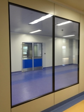 Cleanroom Double-Glazed Windows