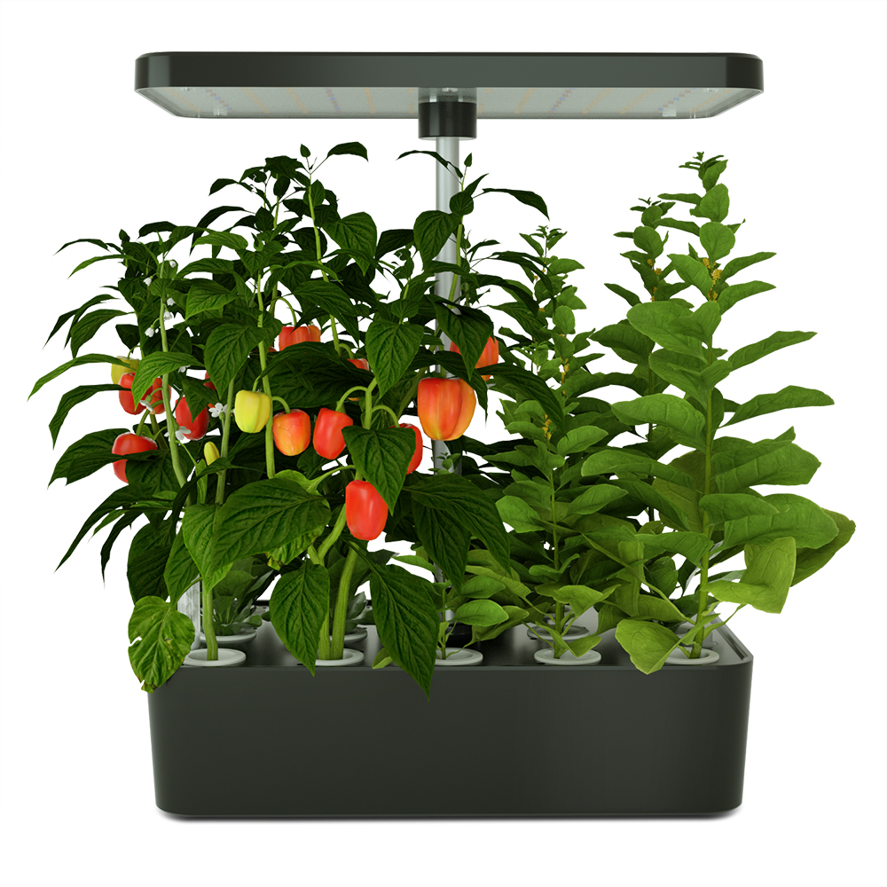 Skyplant Most popular desk intelligent hydroponic system