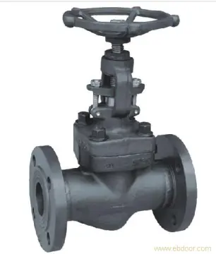 API602 Forged Globe Valve