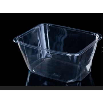 Eco Friendly Disposable Packaging Salad Storage Container