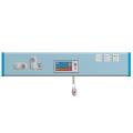 Panel Ketua Ward Wall Mounted Bed