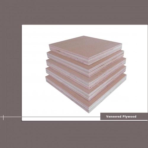 4 X 8 ' Veneer Plywood 12 Mm
