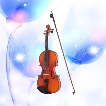 wyj45 Violin