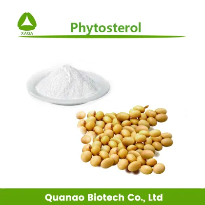 Anti-Aging Beta Sitosterone Corn Oil Extract 90% Phytosterol