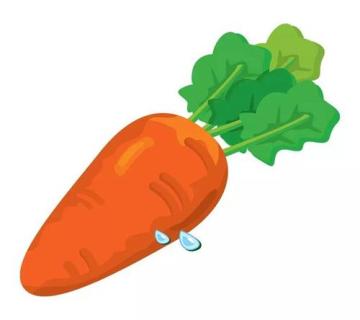 Export Standard Fresh Carrot