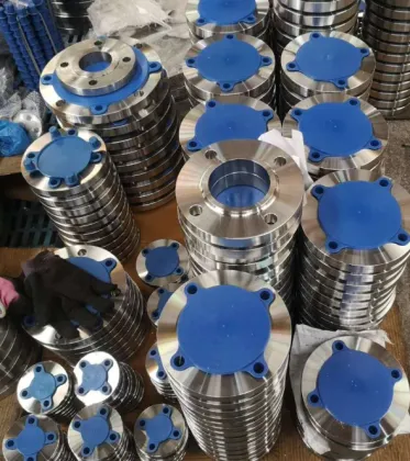 Plate Flange /Plain Flange