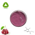 Supplément nutritionnel Extrait d'acerola Cherry Vitamine C