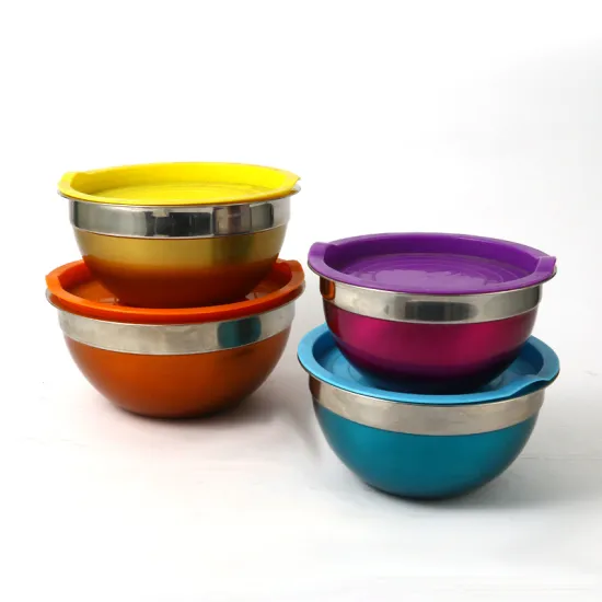 Stainless Steel Salad Bowl with Silicon Cover