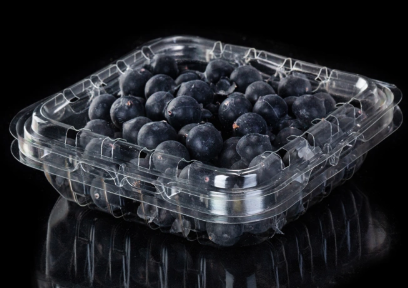 Transparent PET Plastic Blueberry Clamshell Packaging Box