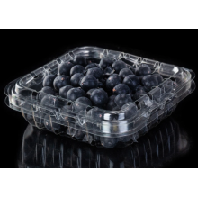 Transparent PET Plastic Blueberry Clamshell Packaging Box
