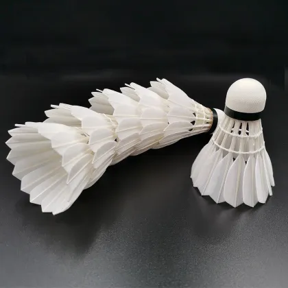 Cigu Duck Feather Amateur Sporting Training Badiminton