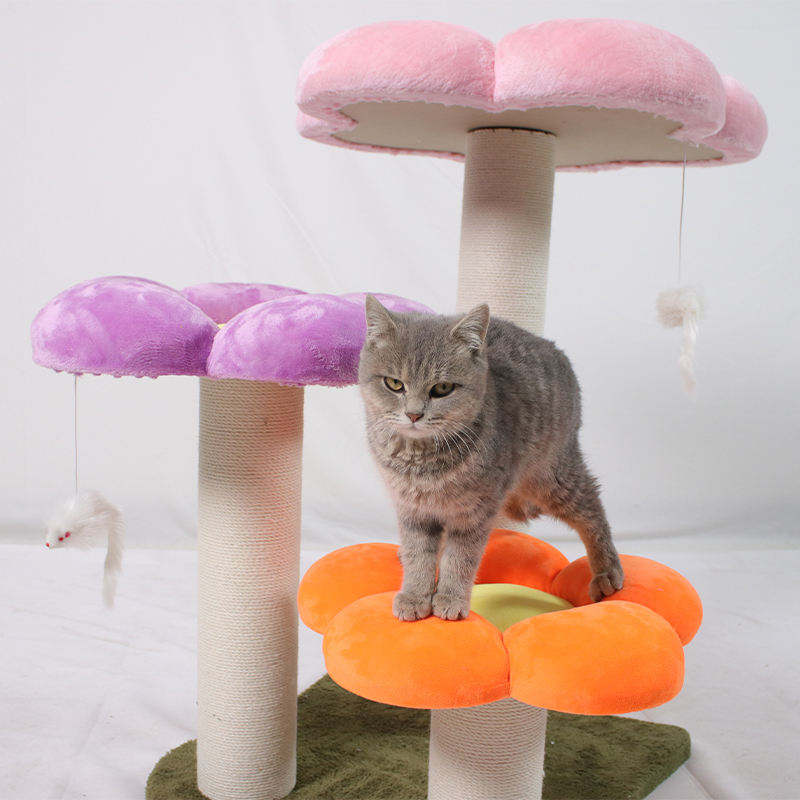 cat scratcher