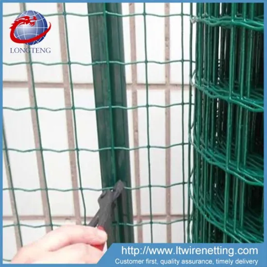 Factory price 2x2 pvc coated welded holland wire fence mesh