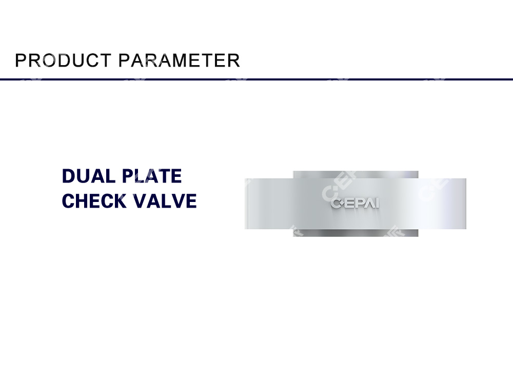 Dual Plate Check Valve4