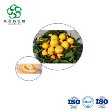 Yellow Peach Extract 10:1 20:1 for Beverage and Food Use