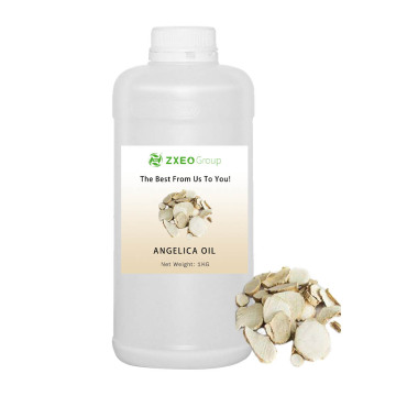 Oil Oil Extract ของ Angelica Dahurica ธรรมชาติสำหรับการนวด