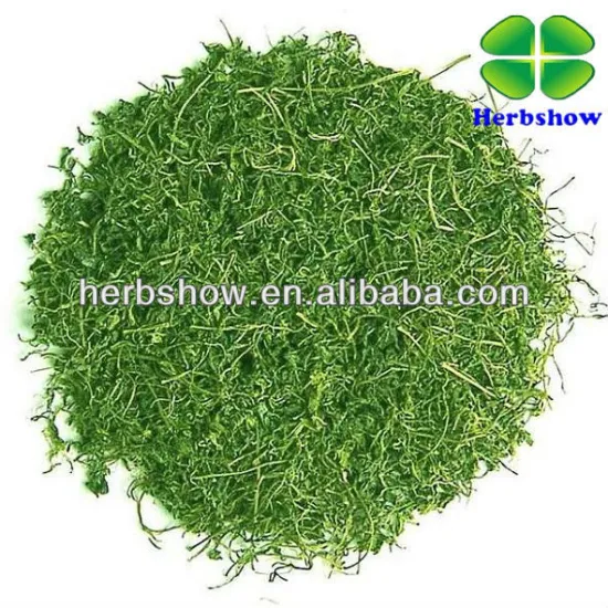 Organic Fiveleaf Gynostemma Herb