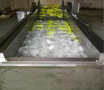 Ultrasonic Leafy Vegetable Washing Machine