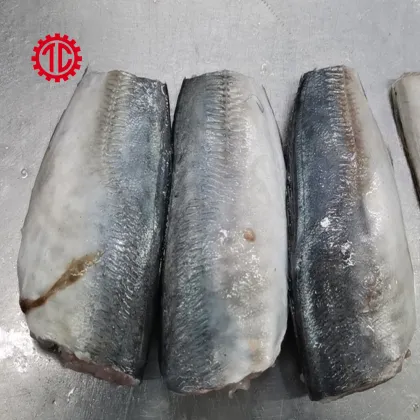 Canned Mackerel Fish in Oil Export And Import