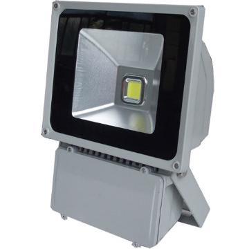 IP65 2 Years Warranty LED Outdoor Powerful Projectors