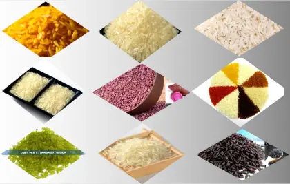 Artificial Rice Production Line Rice Syrup Production Line